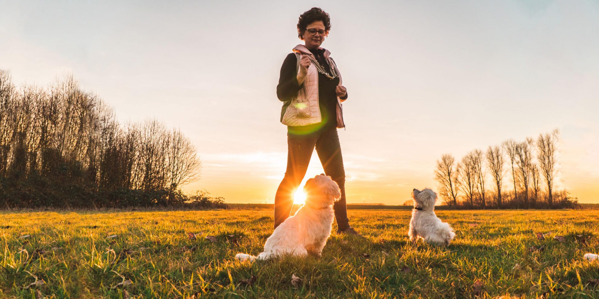 Mo's Hundetraining in Köln und Umgebung